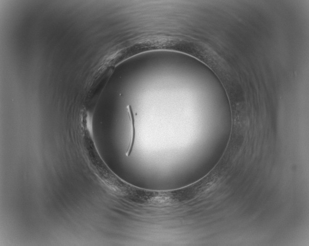 X0000057100119200509091214