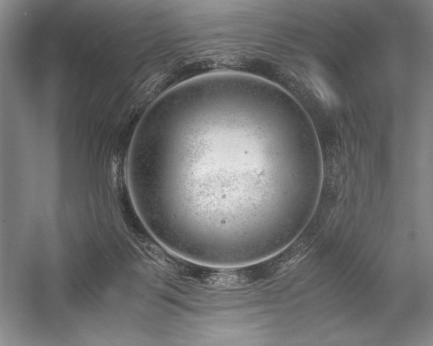 X0000057100123200509091214