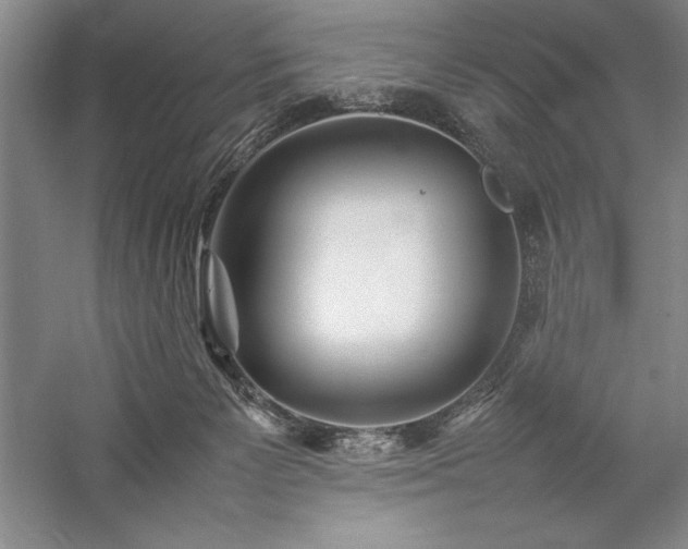 X0000057100125200509091214