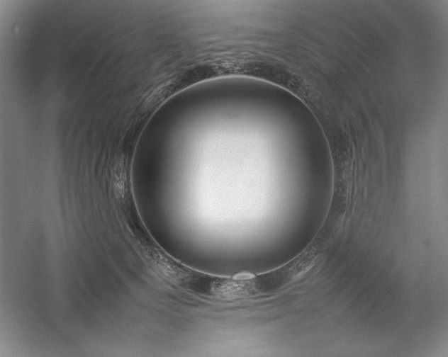 X0000057100129200509091213