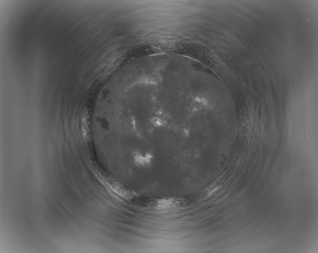 X0000057100130200509091213