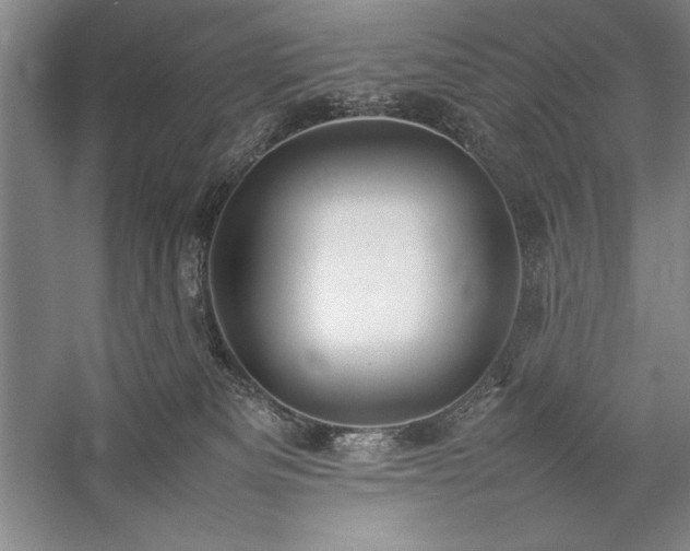 X0000057100133200509091213