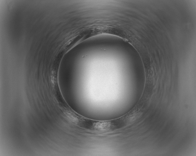 X0000057100135200509091213