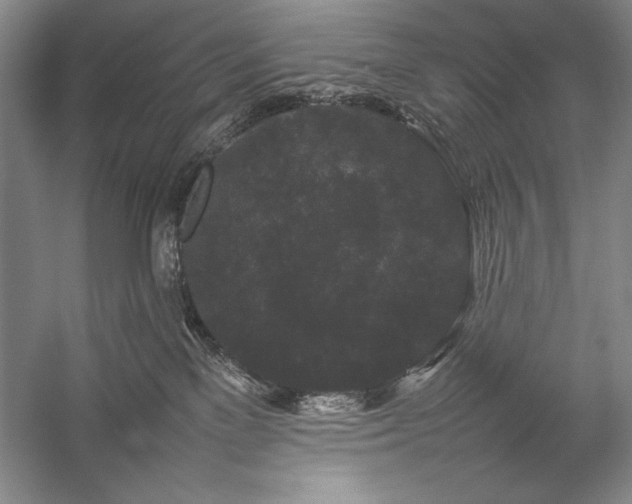 X0000057100137200509091213