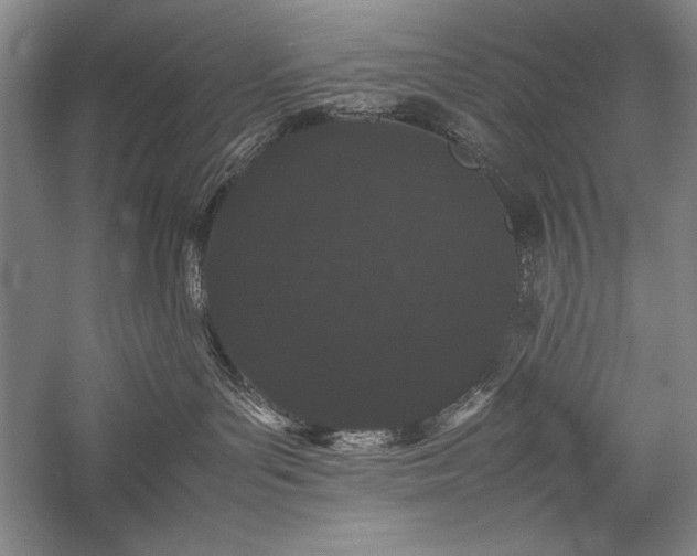 X0000057100143200509091213