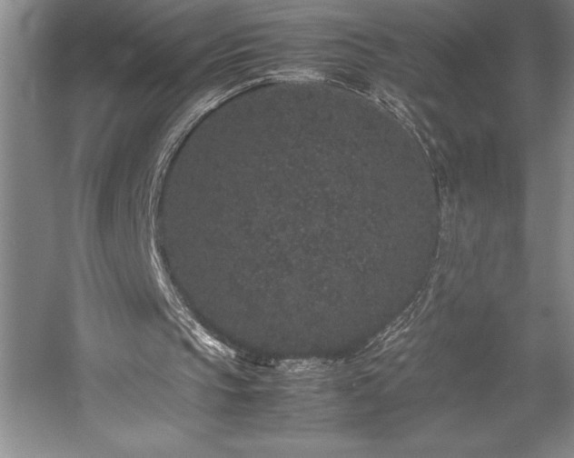 X0000057100145200509091212