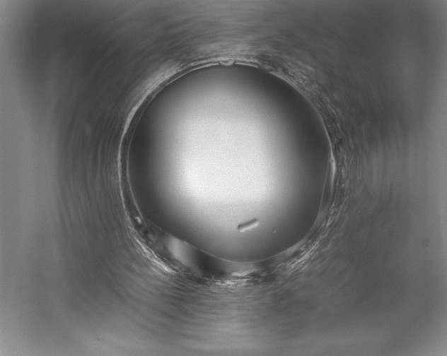 X0000057100148200509091212