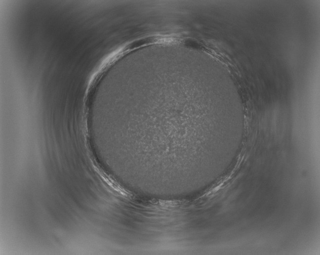 X0000057100149200509091212