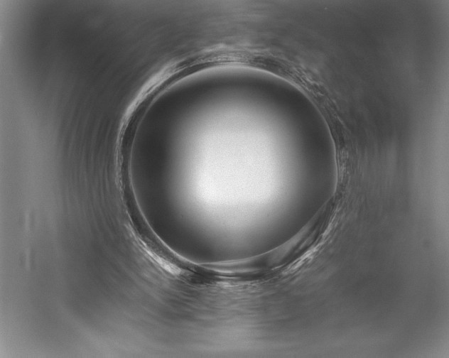 X0000057100150200509091212