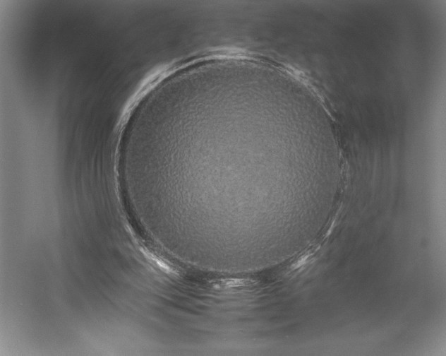 X0000057100151200509091212