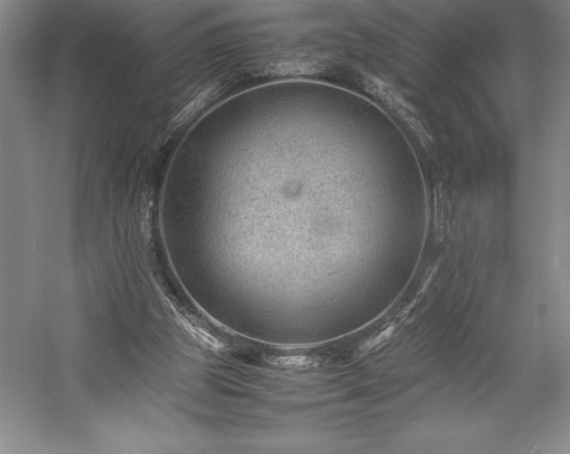 X0000057100153200509091213