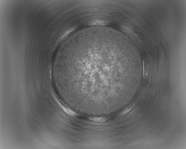 X0000057100157200509091213