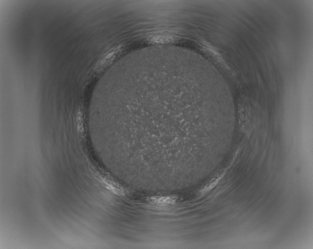 X0000057100161200509091213