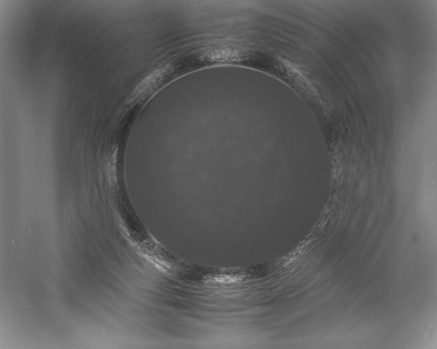 X0000057100163200509091213