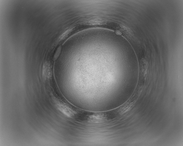 X0000057100164200509091213