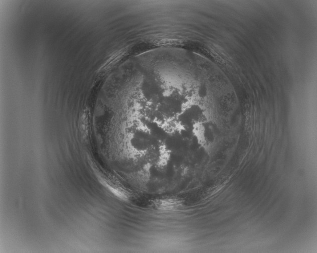 X0000057100165200509091213