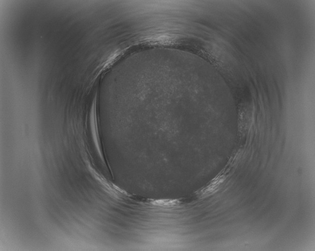 X0000057100168200509091213