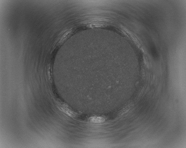 X0000057100169200509091213