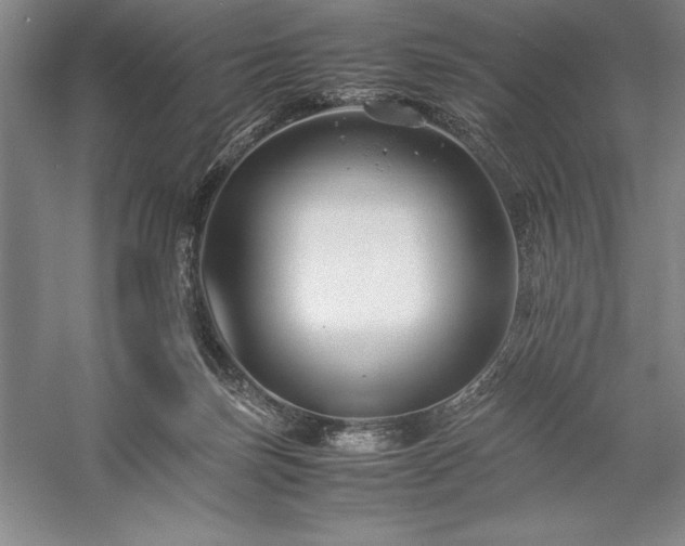 X0000057100171200509091213