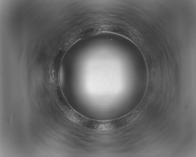 X0000057100173200509091213