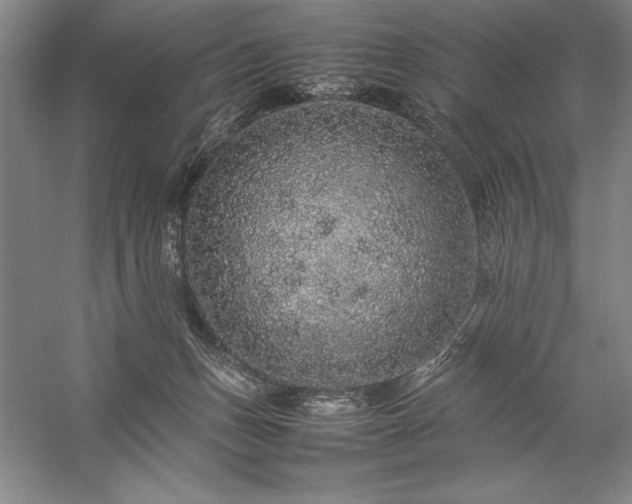 X0000057100175200509091213