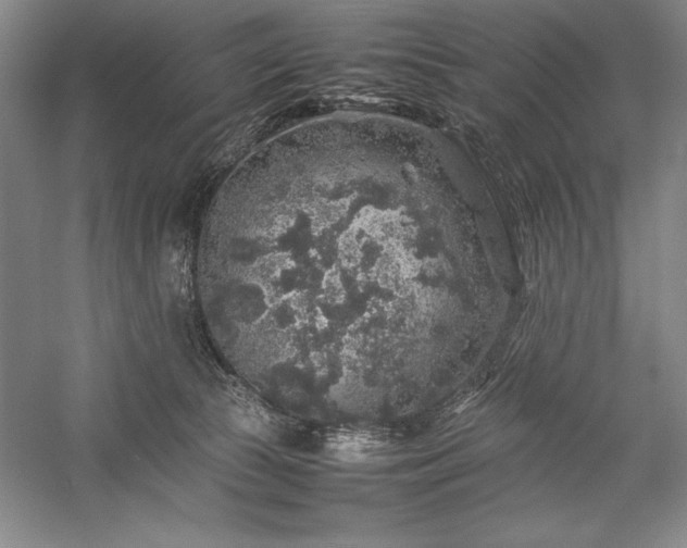 X0000057100177200509091213