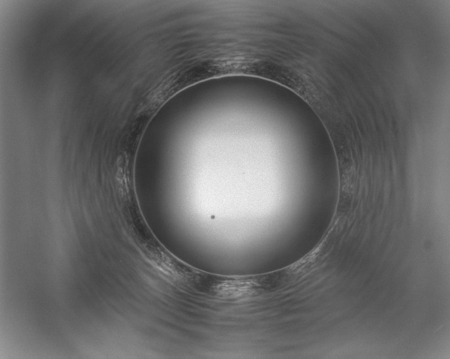 X0000057100179200509091213