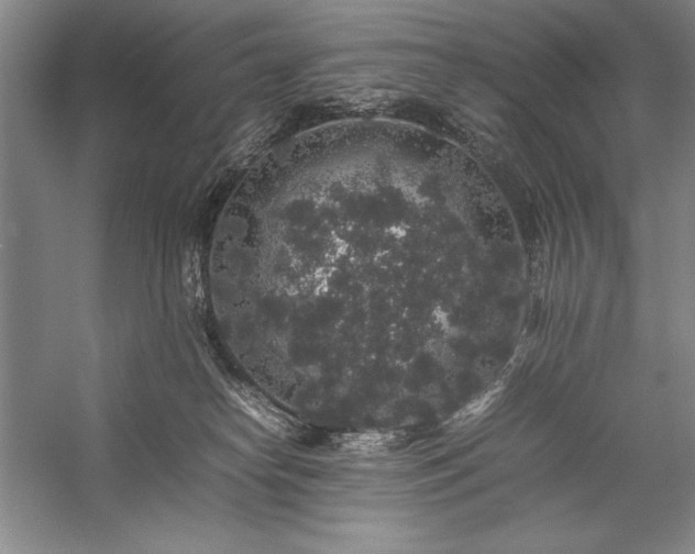 X0000057100182200509091213