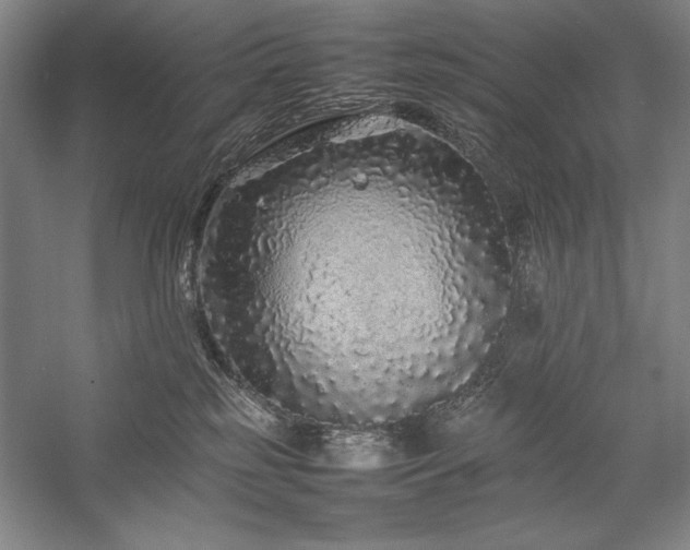 X0000057100185200509091213