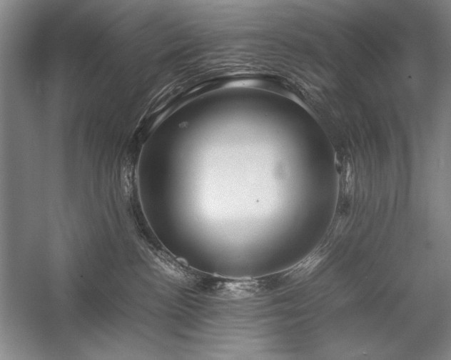 X0000057100188200509091213