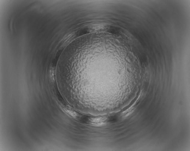 X0000057100191200509091213