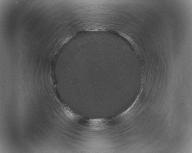 X0000057100192200509091213