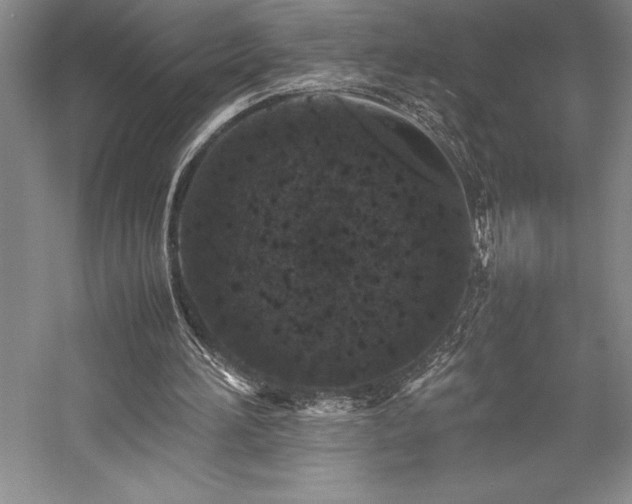 X0000057100196200509091212