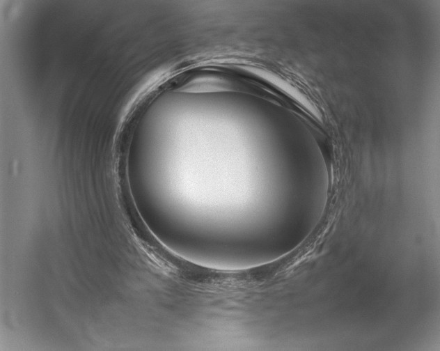 X0000057100197200509091212