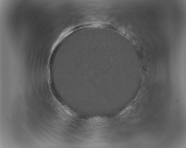 X0000057100198200509091212