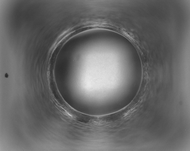 X0000057100199200509091212