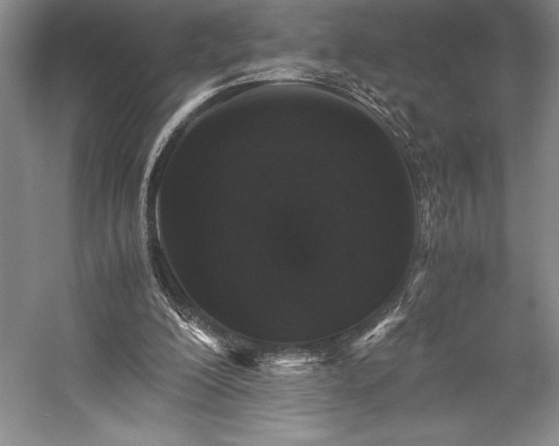 X0000057100200200509091212