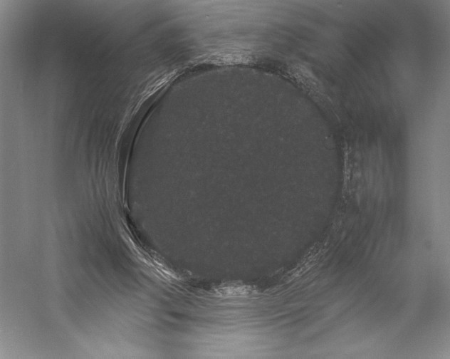 X0000057100202200509091212