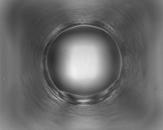 X0000057100203200509091212