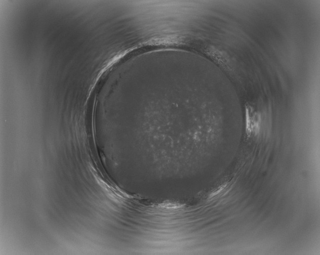 X0000057100204200509091212