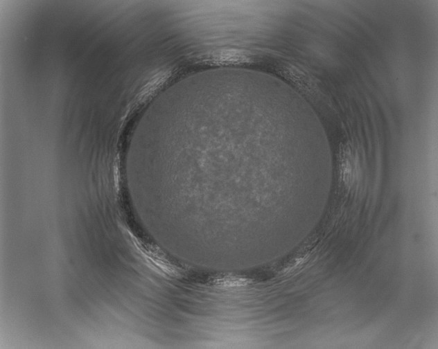 X0000057100206200509091212