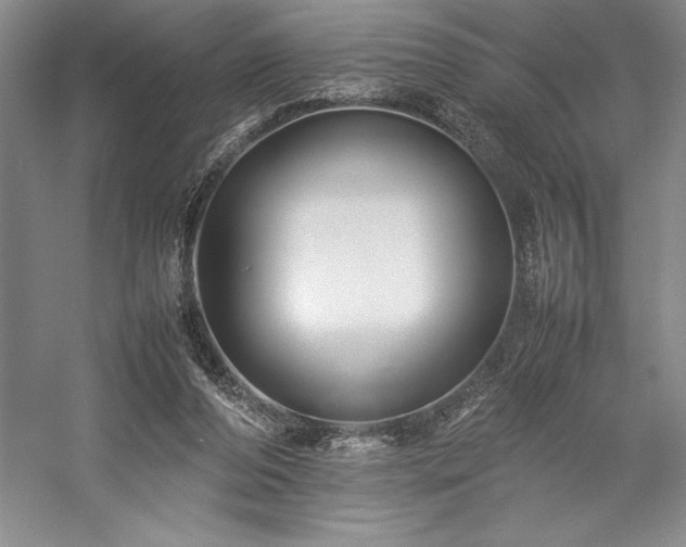 X0000057100208200509091212