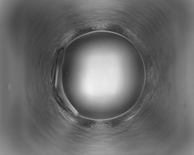 X0000057100209200509091212