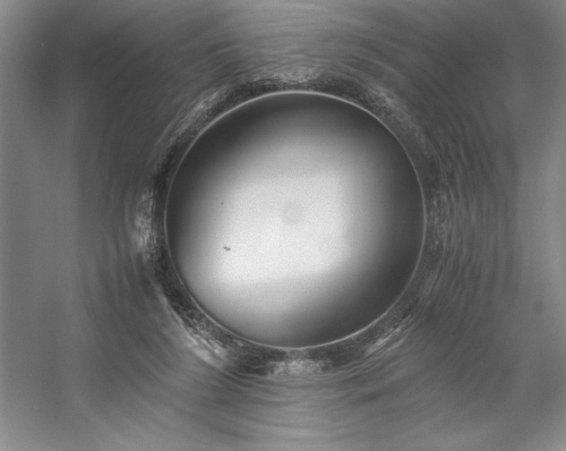 X0000057100212200509091212