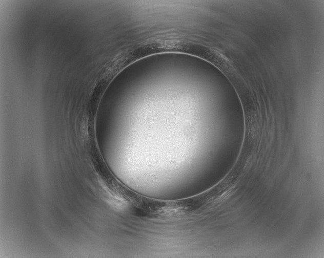 X0000057100213200509091212