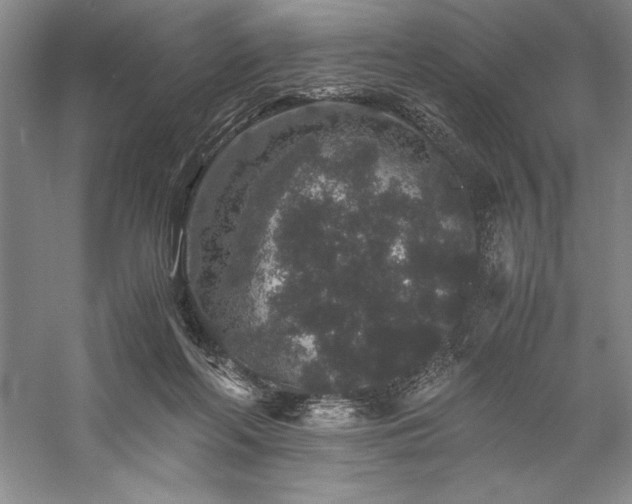 X0000057100214200509091212