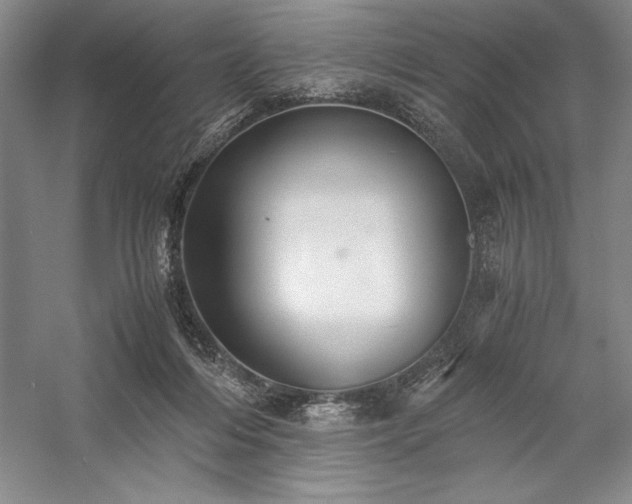 X0000057100216200509091212