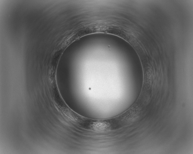 X0000057100218200509091212