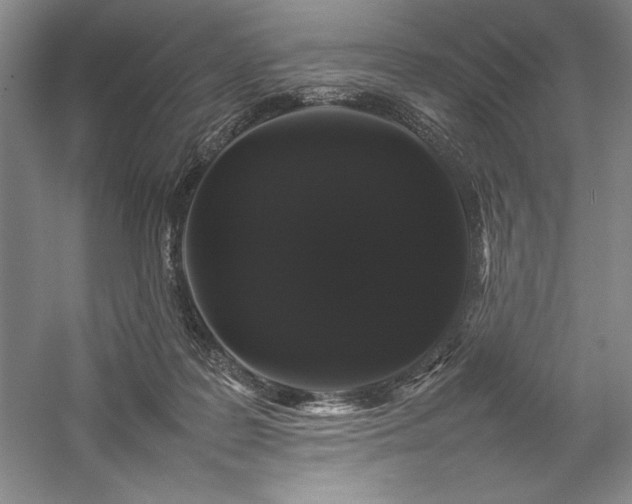 X0000057100219200509091212