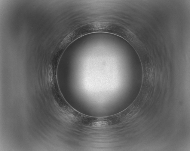 X0000057100220200509091212